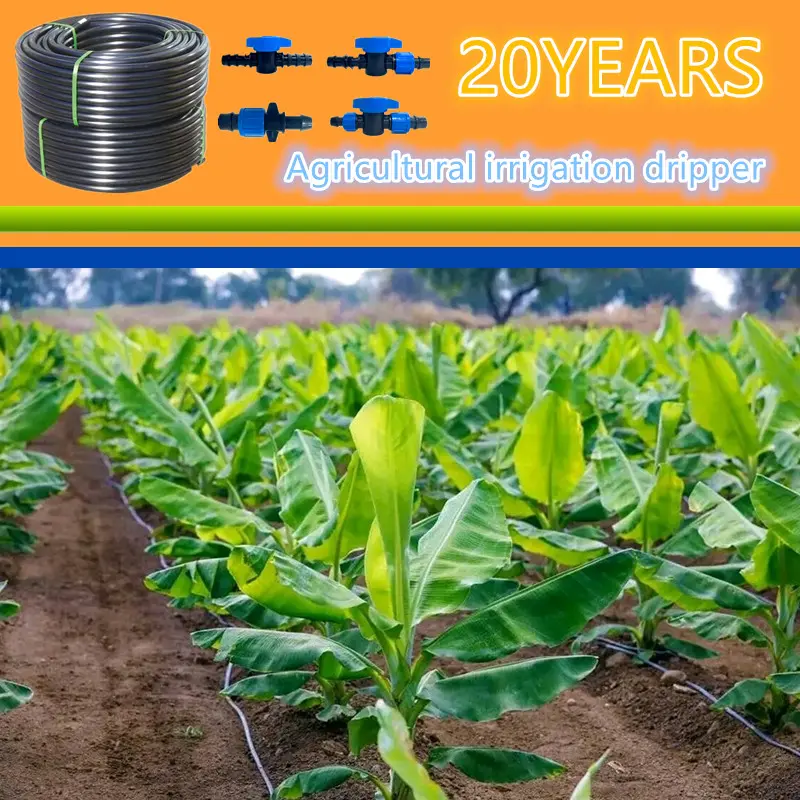 Cost Advantages of Agricultural Drip Irrigation ls